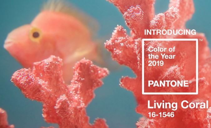 Pantone's selection for 2019 -Living Coral