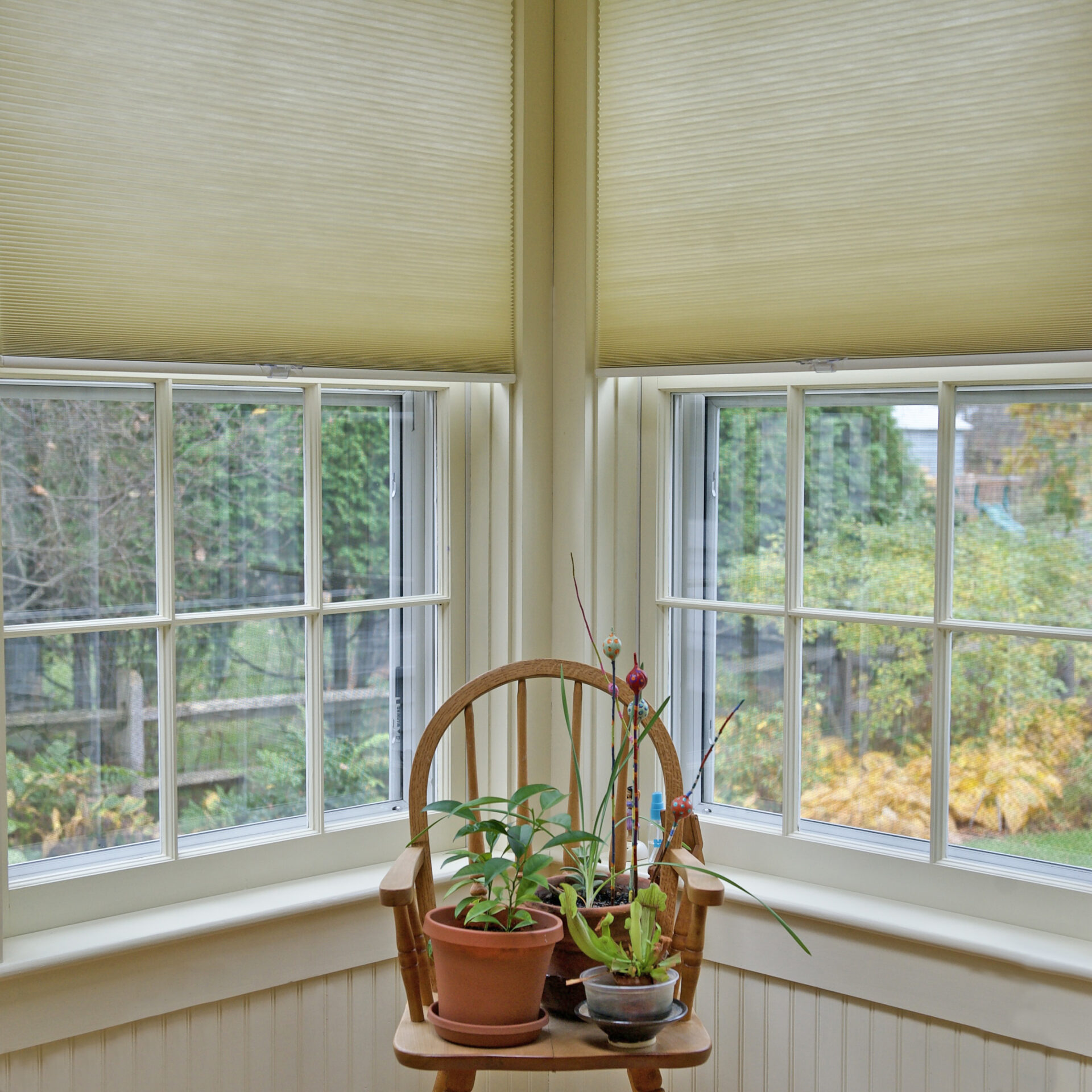 EcoSmart Cellular Shades, IB, Cordless, Light Filtering, Forte, Bottom Up, kitchen